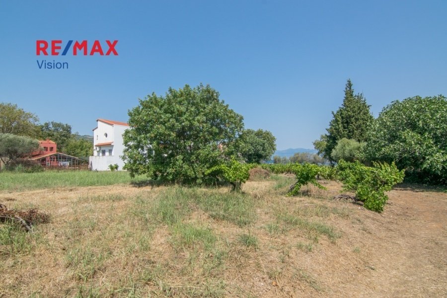 Land in Makronisos, Aegean, Greece 4 - 15504831