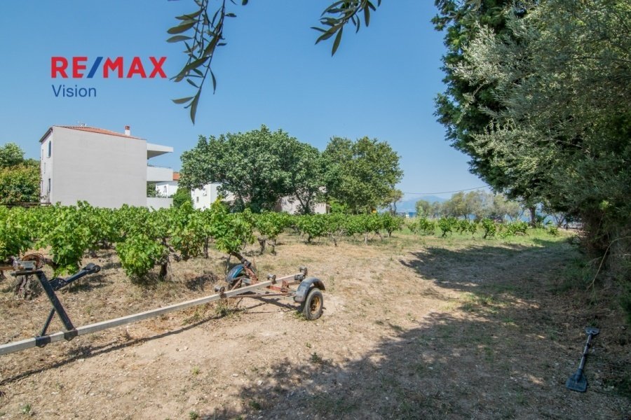 Land in Makronisos, Aegean, Greece 3 - 15504831