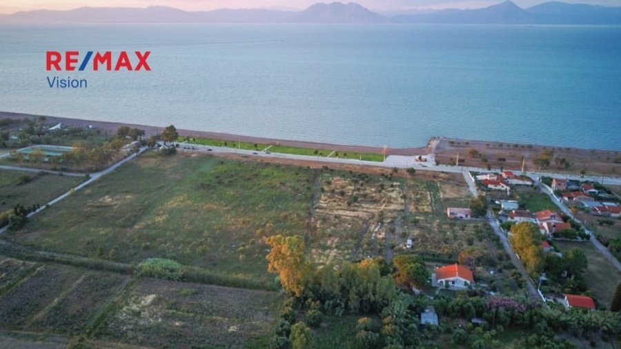 Land in Kato Axaias, Dymi, Peloponnese, Western Greece and the Ionian 2 - 15504832