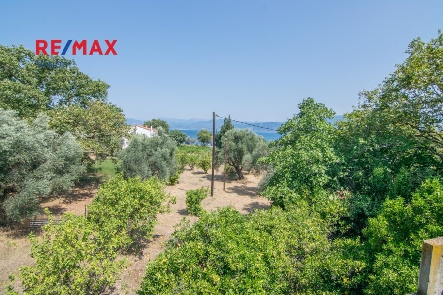 Land in Makronisos, Aegean, Greece 1 - 15504831