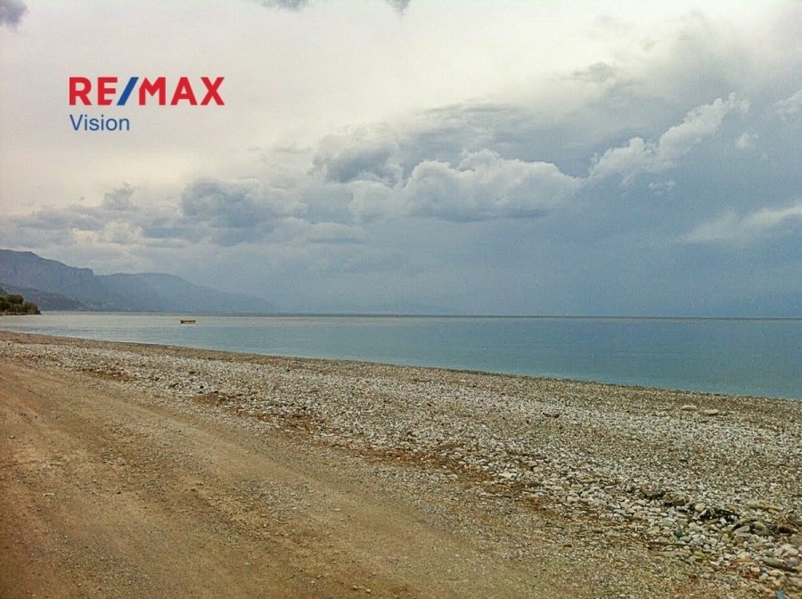 Land in Akratas, Peloponnese, Western Greece and the Ionian, Greece 1 - 15504849