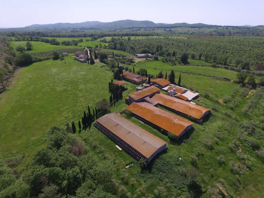 Farm Ranch in Manciano, Tuscany, Italy 5 - 15505125