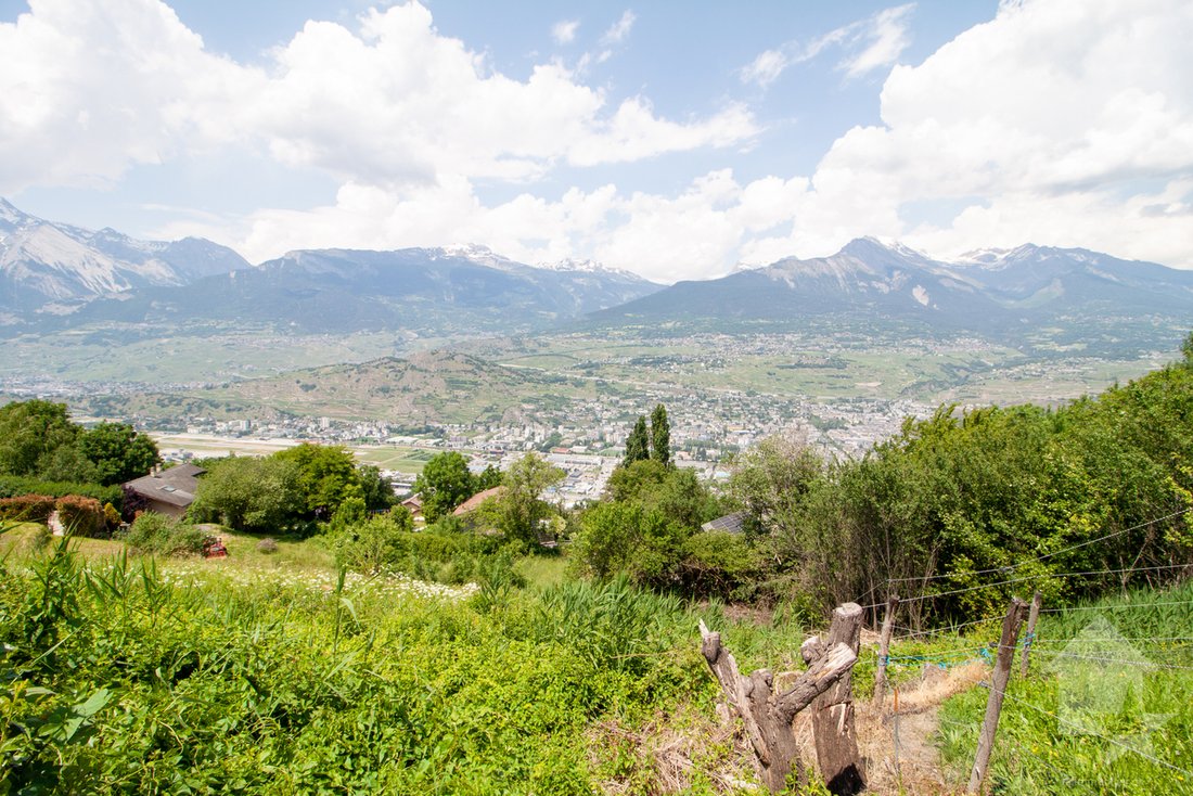 Sion, Valais, Switzerland 2 - 14563698