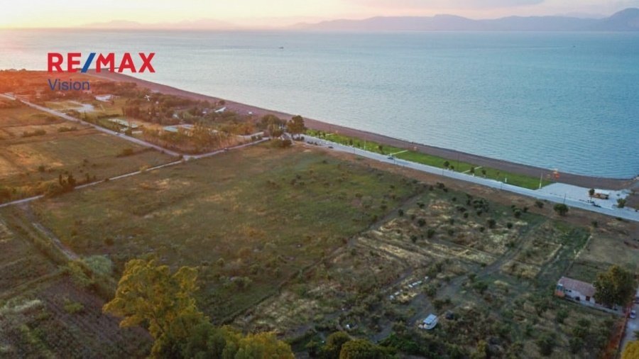 Land in Kato Axaias, Dymi, Peloponnese, Western Greece and the Ionian 1 - 15504832