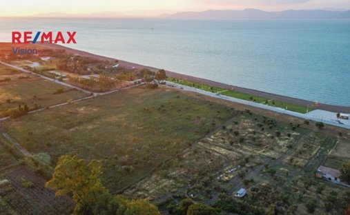 Land in Kato Axaias, Dymi, Peloponnese, Western Greece and the Ionian 1