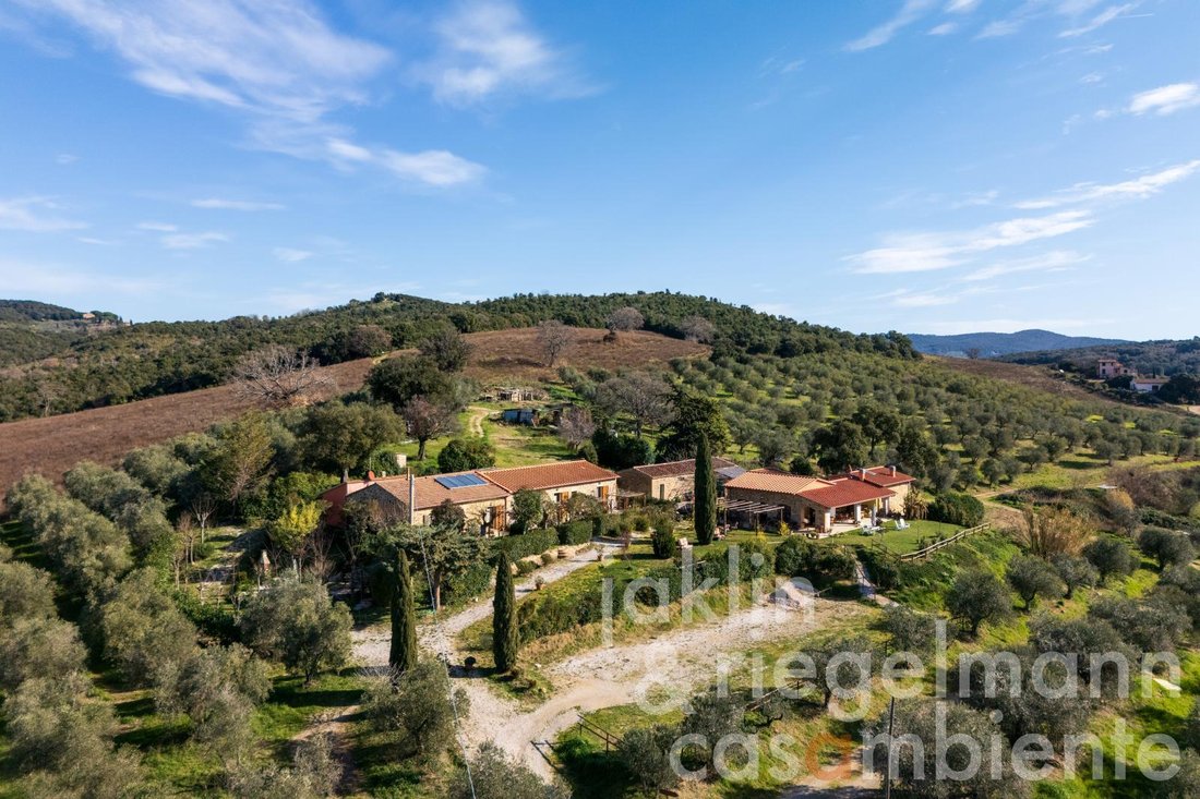 Farm Ranch in Massa Marittima, Tuscany, Italy 2 - 15508181