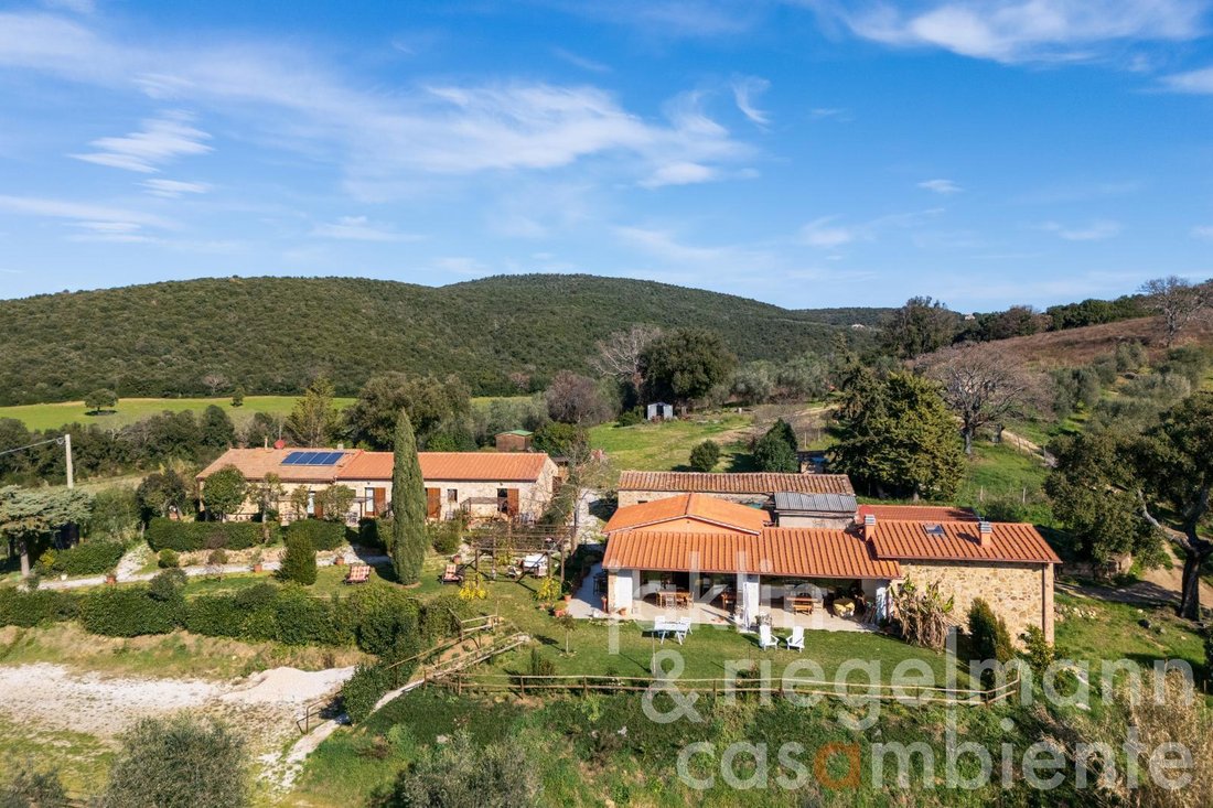Farm Ranch in Massa Marittima, Tuscany, Italy 4 - 15508181
