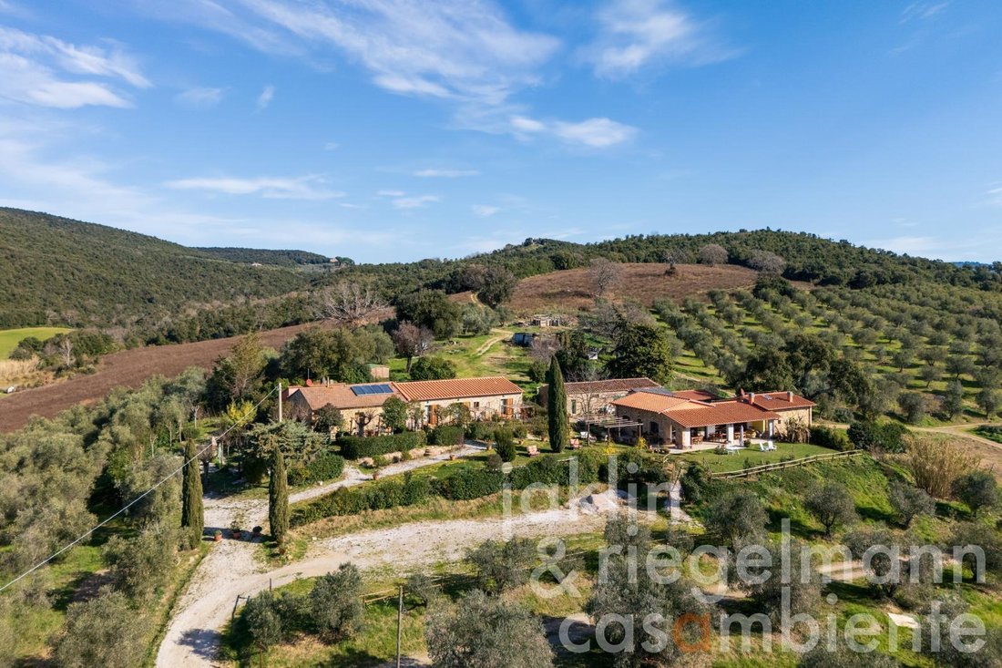 Farm Ranch in Massa Marittima, Tuscany, Italy 3 - 15508181