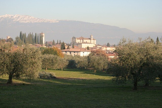 Land in San Felice del Benaco, Lombardy, Italy 1 - 15507868