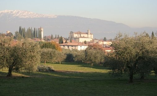 Land in San Felice del Benaco, Lombardy, Italy 1