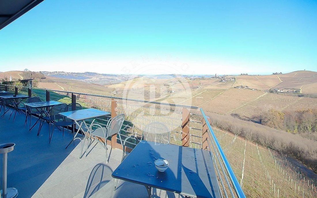 Estate in Alba, Piedmont, Italy 1 - 15508000