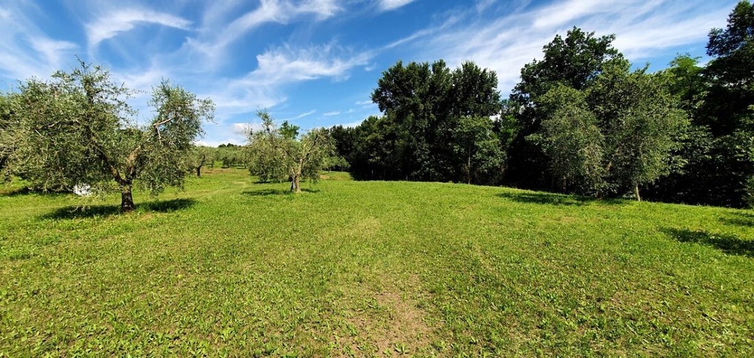 Land in San Felice del Benaco, Lombardy, Italy 4 - 15507868