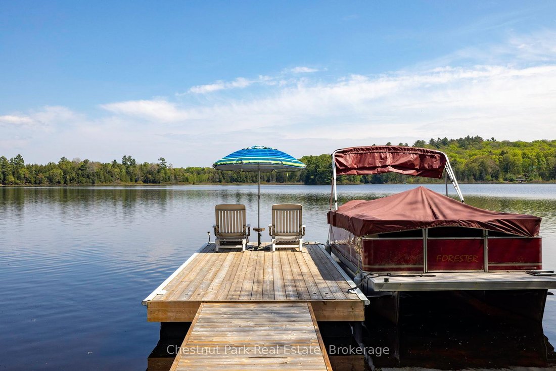 House in Baysville, Ontario, Canada 2 - 15349033