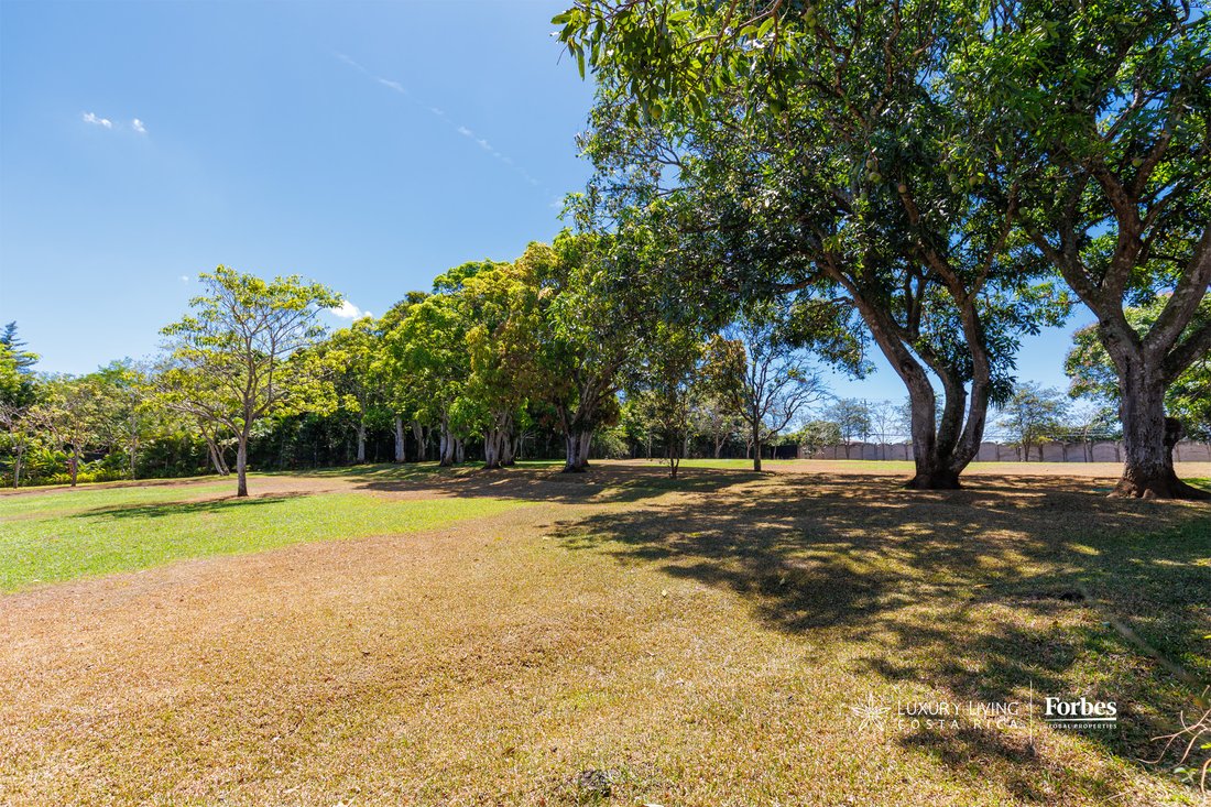 Land in Tambor, Alajuela Province, Costa Rica 4 - 15516811