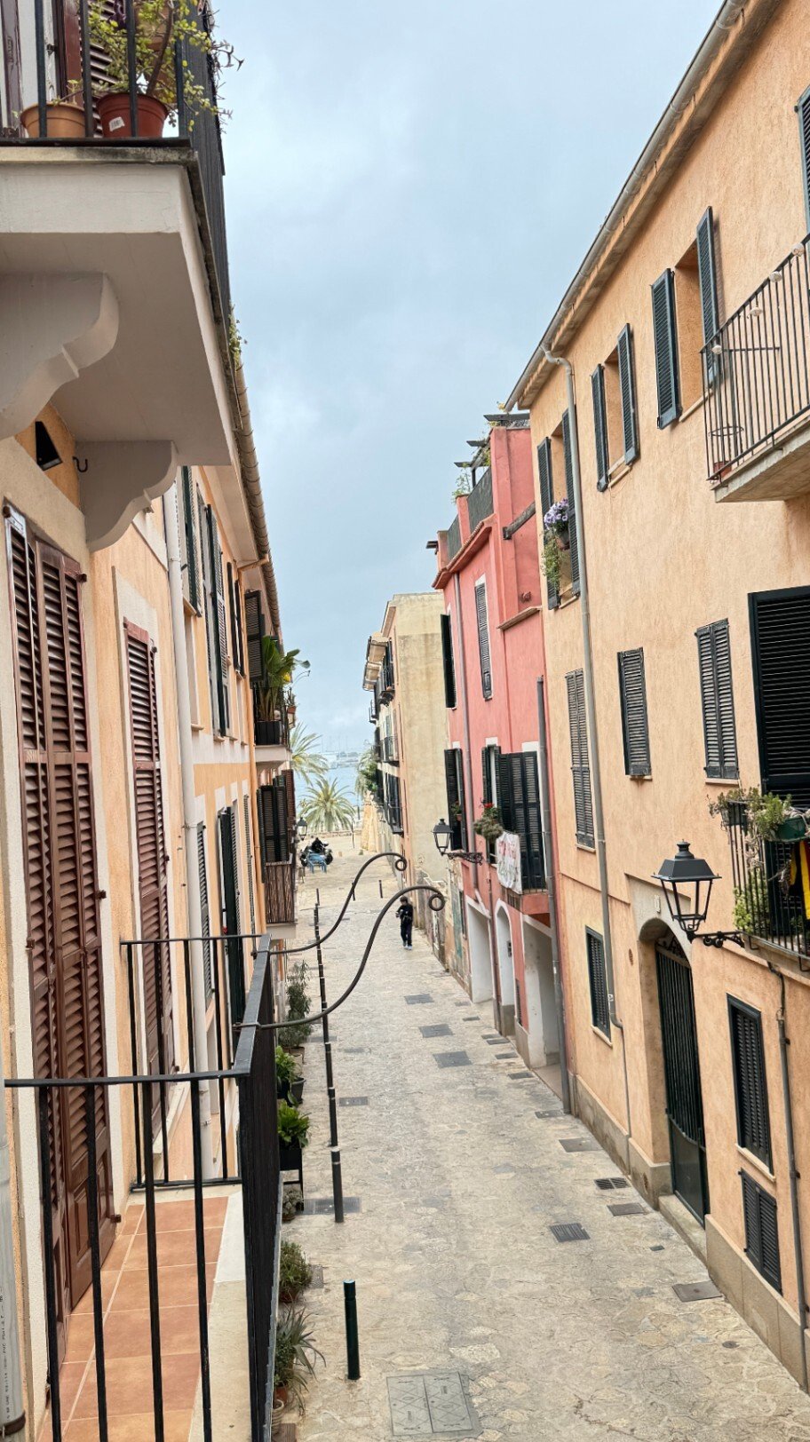 Apartment in Palma, Balearic Islands, Spain 3 - 14827601