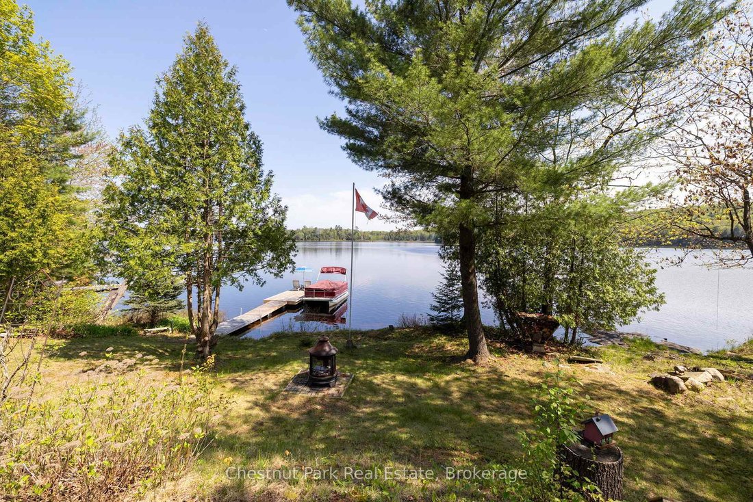 House in Baysville, Ontario, Canada 3 - 15349033