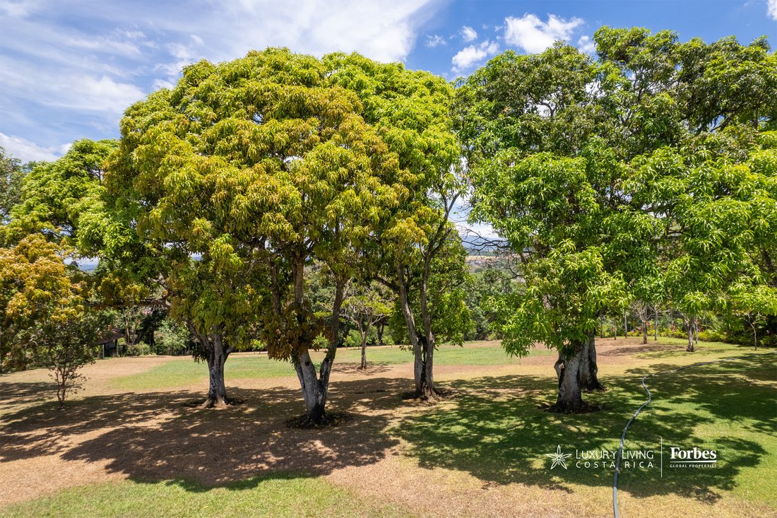Land in Tambor, Alajuela Province, Costa Rica 1 - 15516811