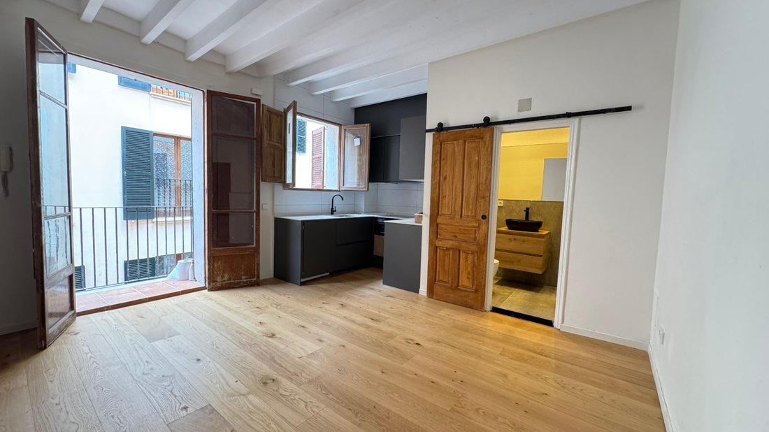 Apartment in Palma, Balearic Islands, Spain 1 - 14827601