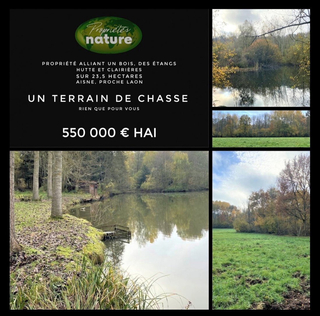 Land in Laon, Hauts-de-France, France 1 - 14905621