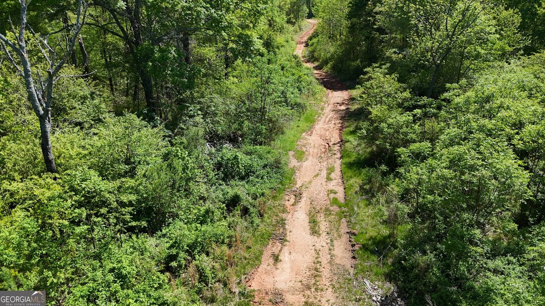 Land in Bogart, Georgia, United States 5 - 14695792