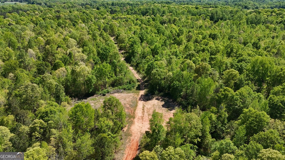 Land in Bogart, Georgia, United States 3 - 14695792