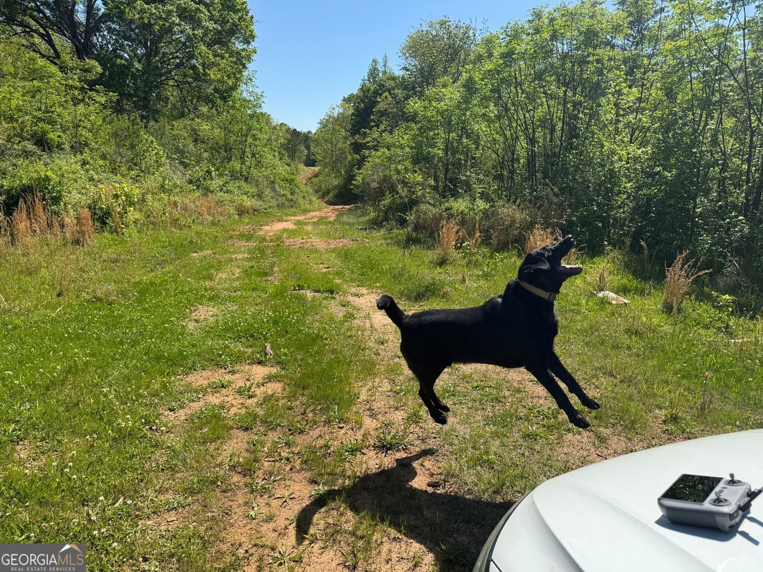 Land in Bogart, Georgia, United States 2 - 14695792