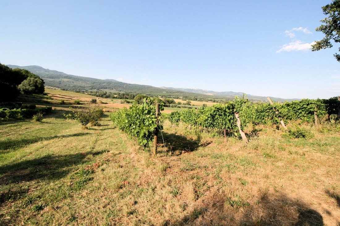 Country House in Roccastrada, Tuscany, Italy 4 - 15510906