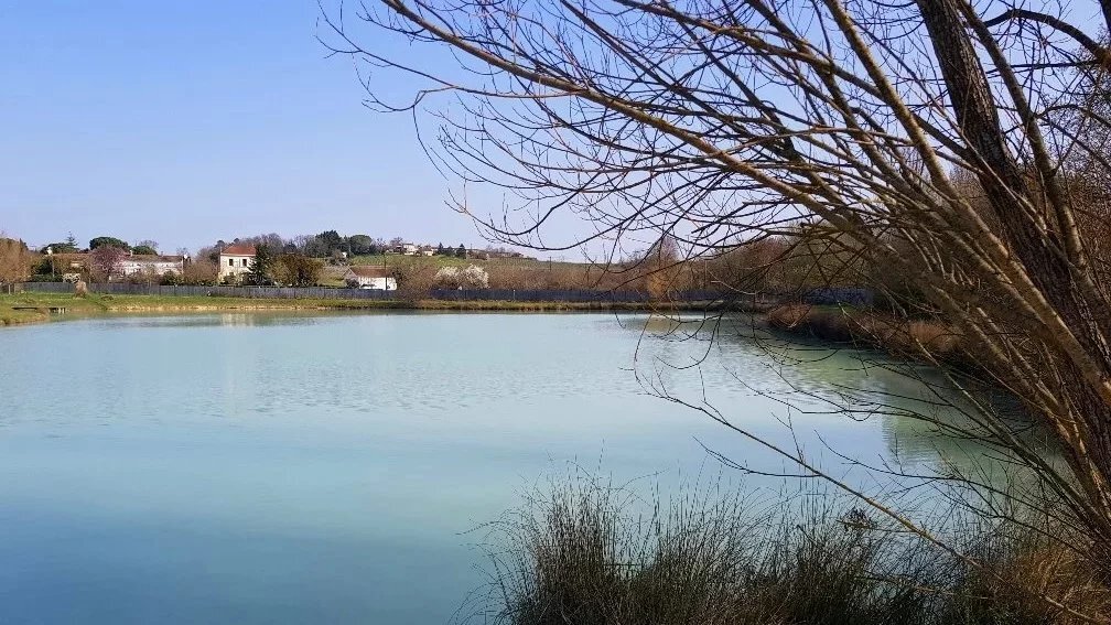 Berson, Nouvelle-Aquitaine, France 5 - 14805377