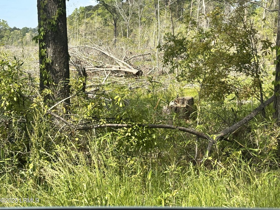 Land in Ridgeland, South Carolina, United States 1 - 15521657