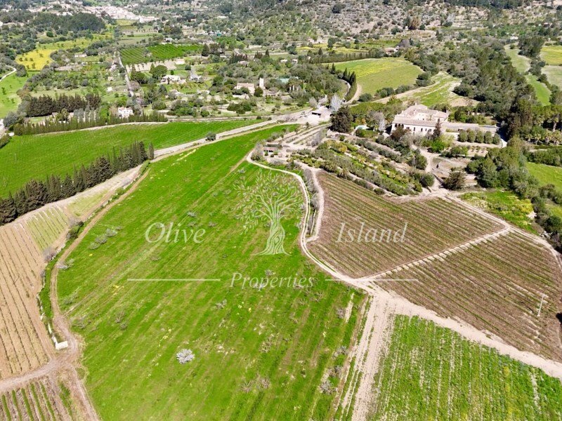 Estate in Puigpunyent, Balearic Islands, Spain 2 - 15520650
