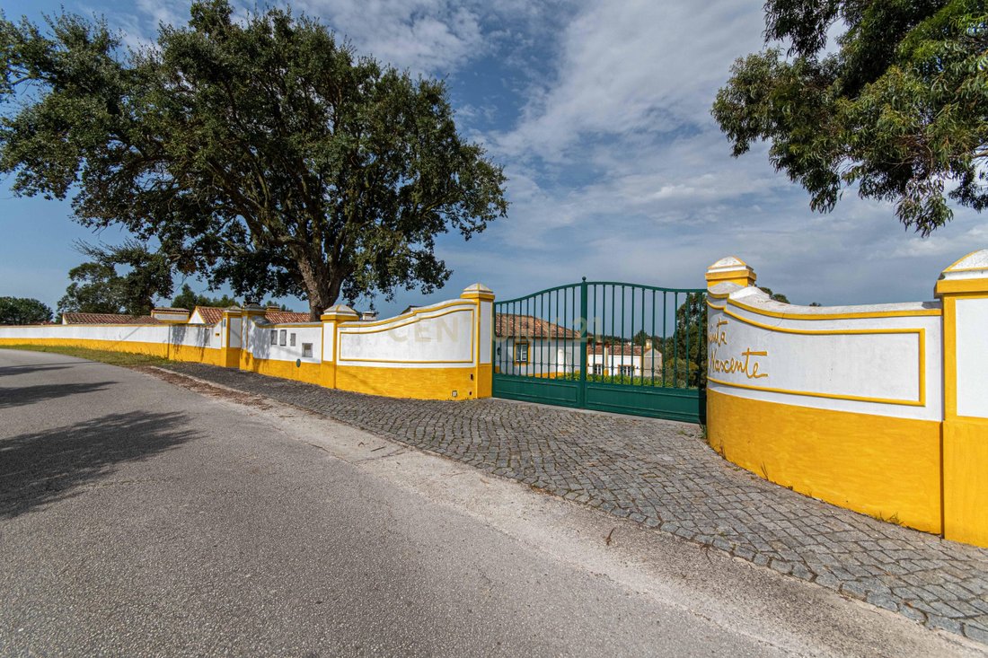 Farm Ranch in Azambuja, Lissabon, Portugal 3 - 15522243