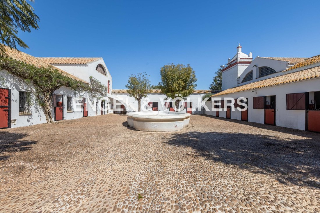 Carmona, Andalusia, Spain 3 - 15459502