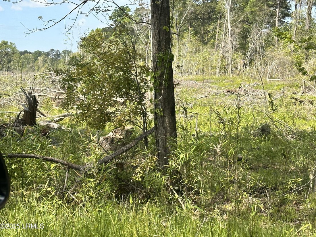 Land in Ridgeland, South Carolina, United States 2 - 15521657