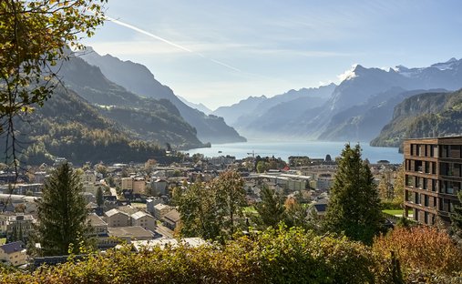 Land in Ingenbohl, Schwyz, Switzerland 1