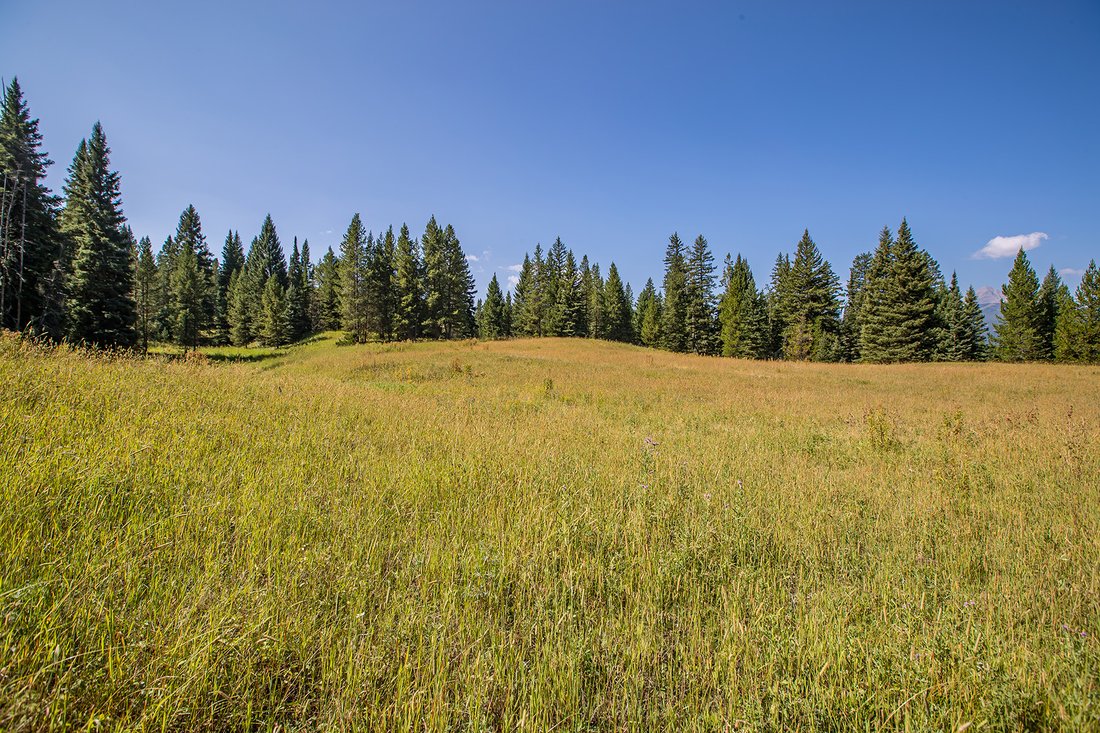 Land in Gallatin Gateway, Montana, United States 5 - 15523040