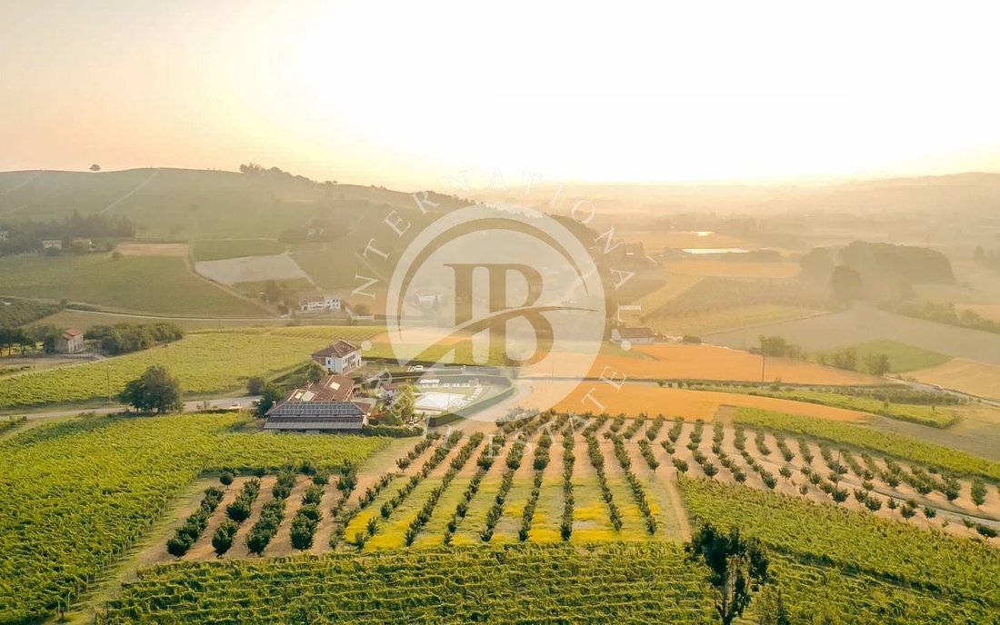 Villa in Center, Asti, Piedmont 4 - 15523716