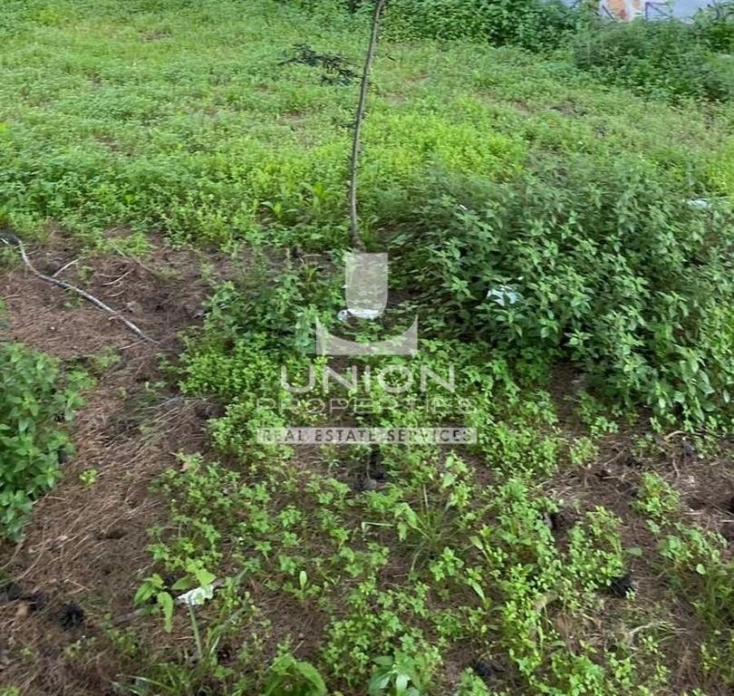Land in North Athens, Attica, Greece 1 - 15523332