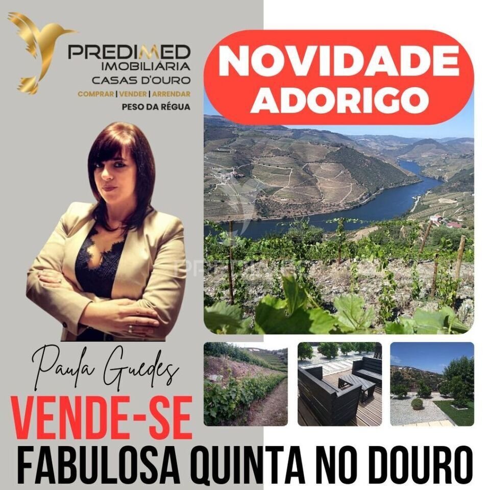 Farm Ranch in Adorigo, Viseu District, Portugal 1 - 15523753