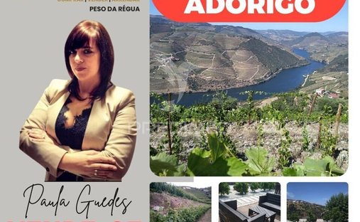 Azienda agricola a Adorigo, Distretto di Viseu, Portogallo 1
