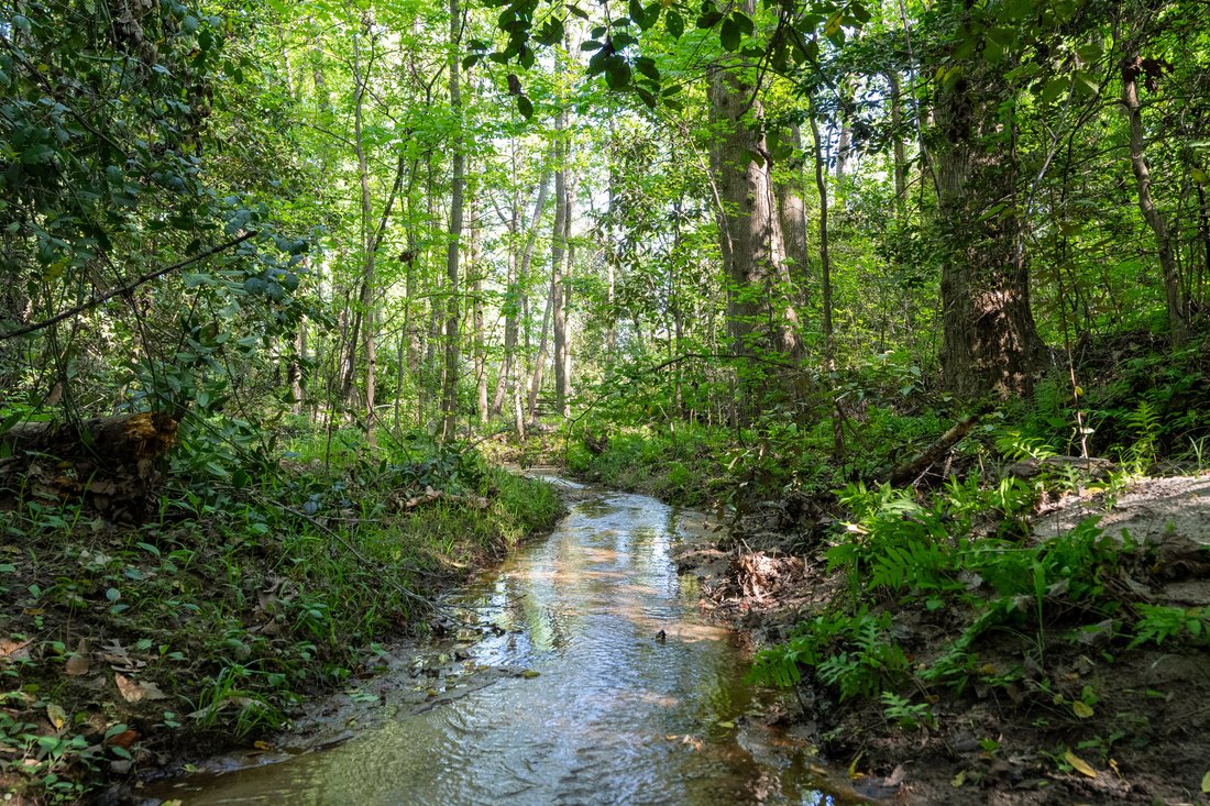 Land in Greenville, South Carolina, Vereinigte Staaten 5 - 15523803