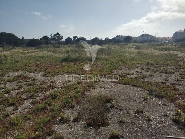 Land in Sao Pedro, Coimbra District, Portugal 1 - 15523734