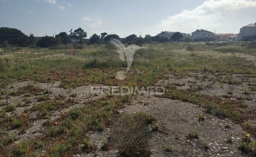 Terreno a São Pedro, Distretto di Coimbra, Portogallo 1