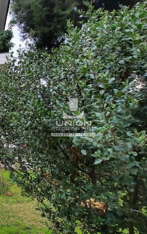 House in North Athens, Attica, Greece 5 - 15523361