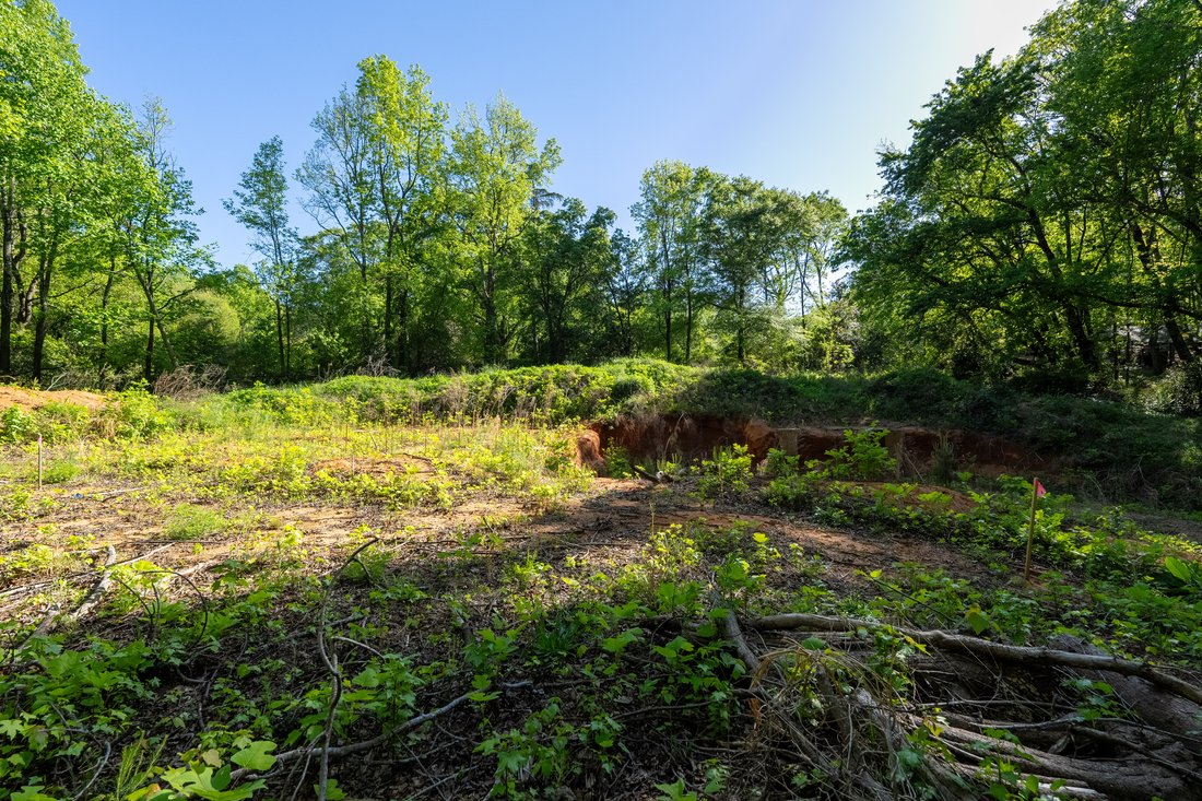 Land in Greenville, South Carolina, Vereinigte Staaten 4 - 15523803