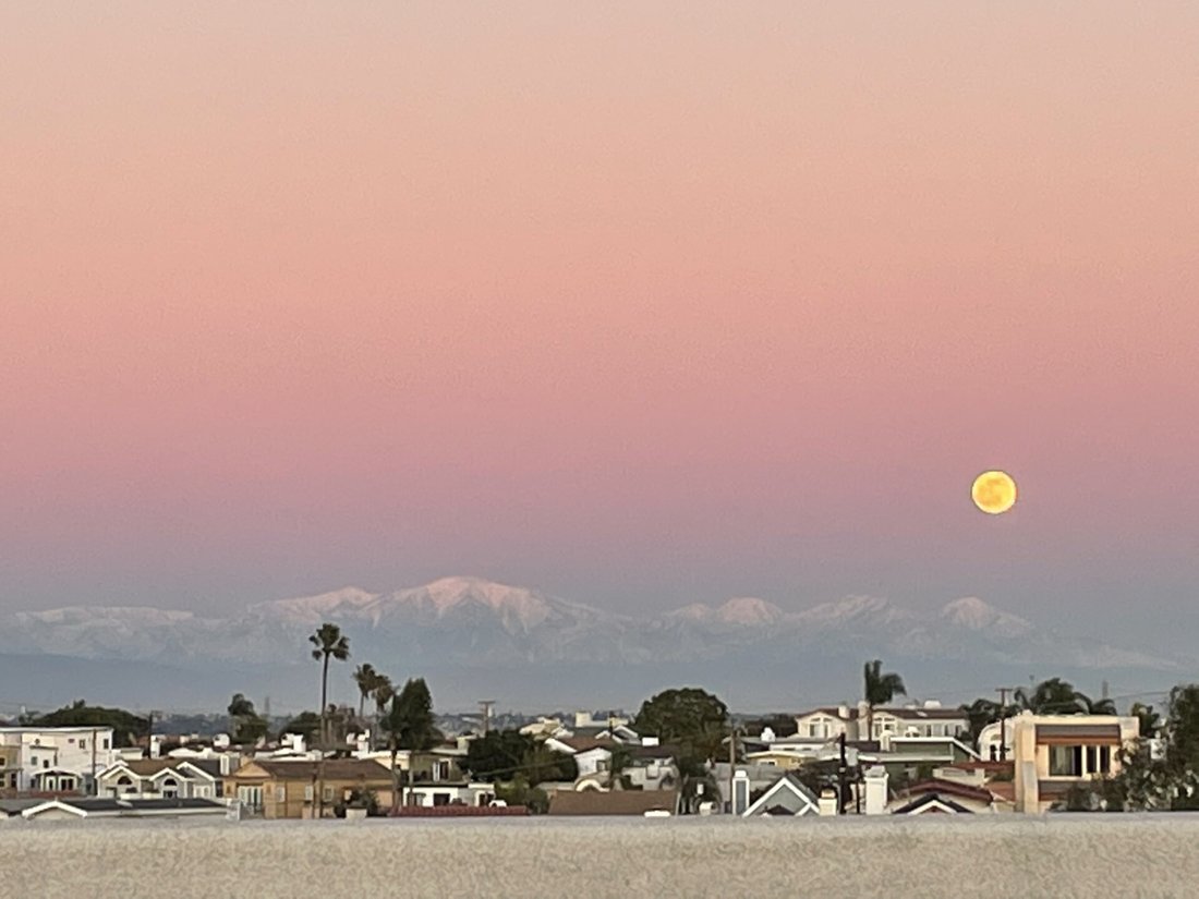 House in Torrance, California, United States 4 - 15524864