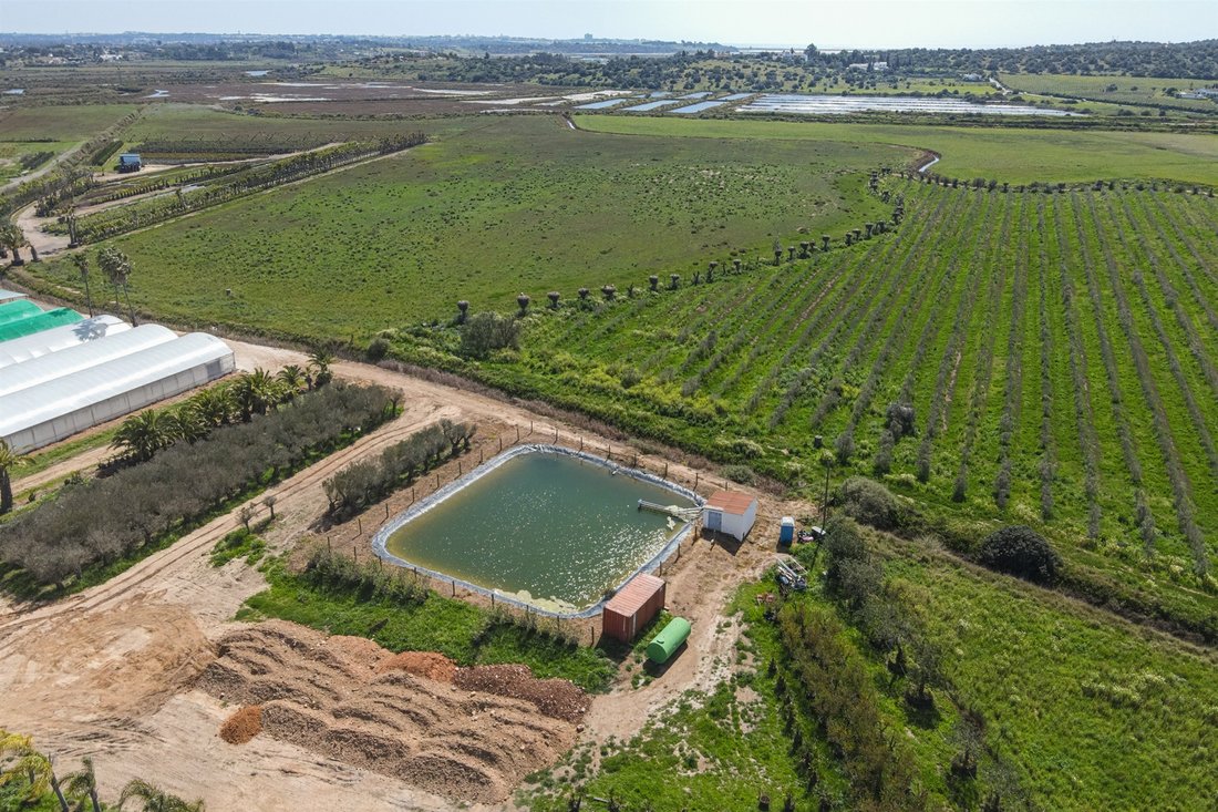 Farm Ranch in Sao Goncalo de Lagos, Algarve, Portugal 1 - 13642437
