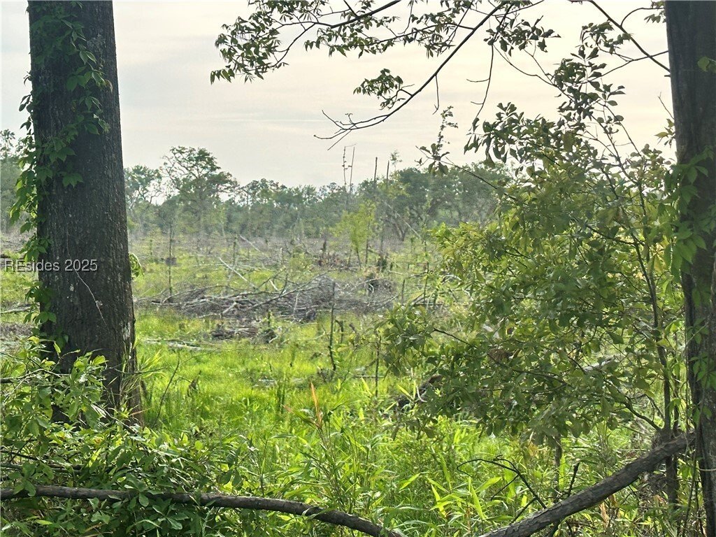 Land in Ridgeland, South Carolina, United States 4 - 15520407