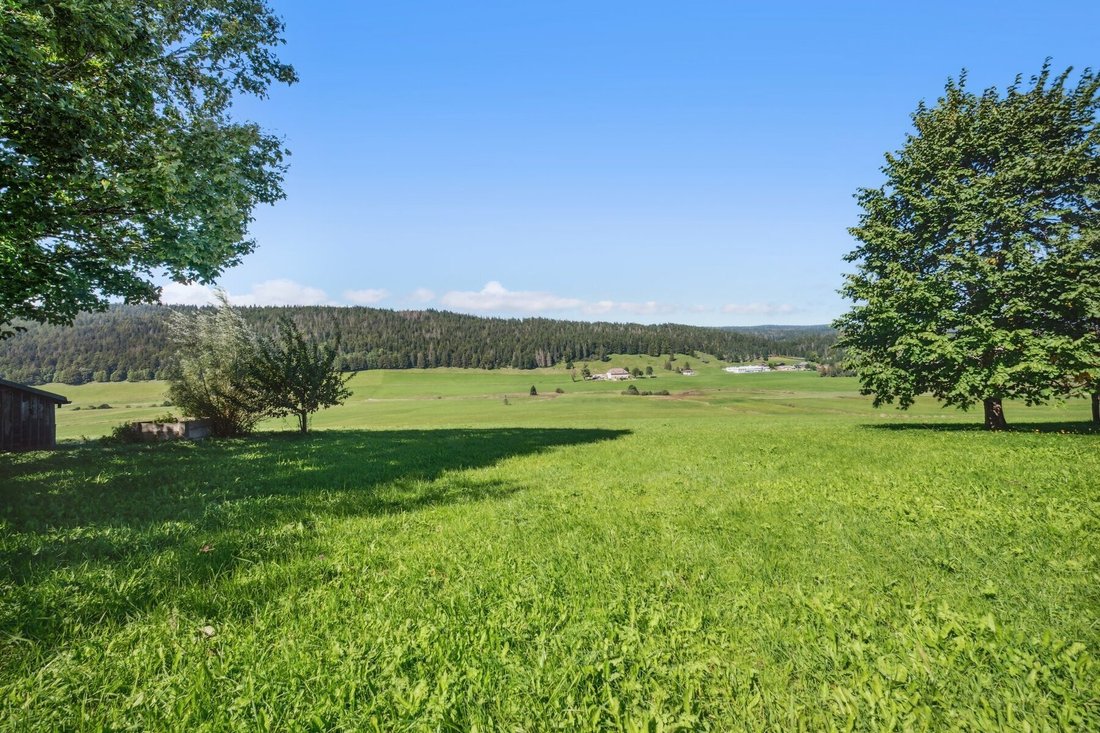 Farm Ranch in Le Chenit, Vaud, Switzerland 1 - 14770461