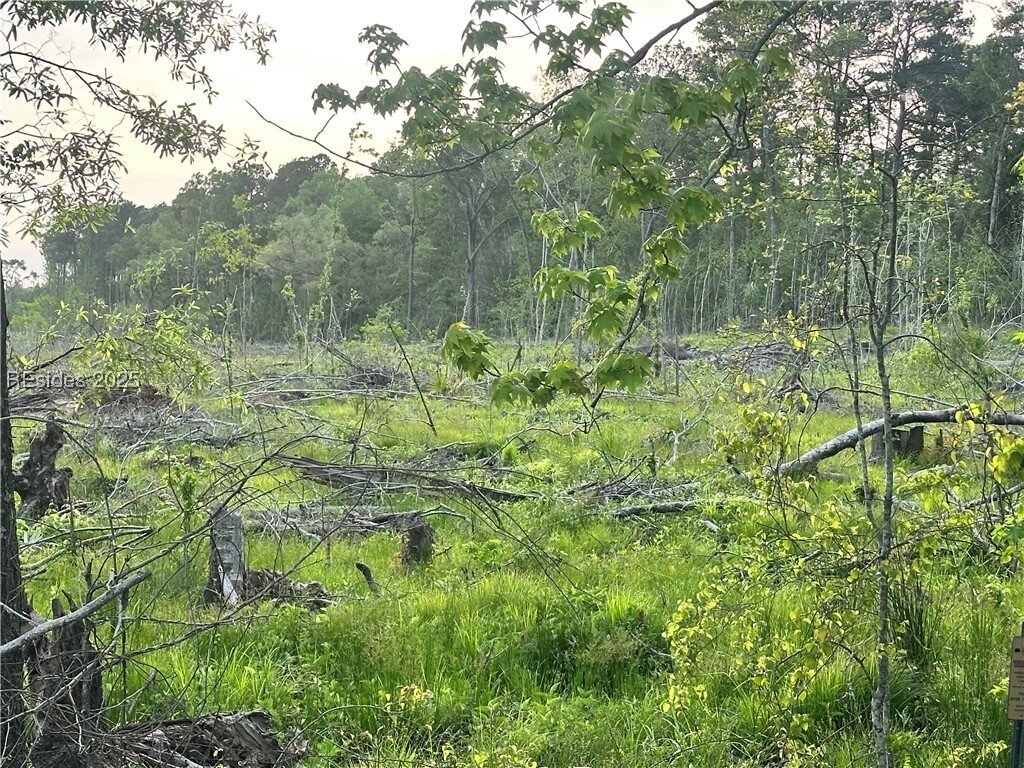 Land in Ridgeland, South Carolina, United States 5 - 15520407
