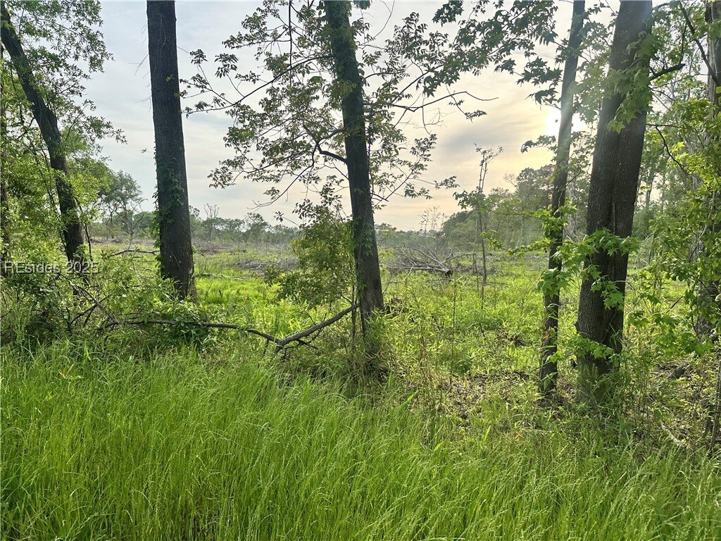 Land in Ridgeland, South Carolina, United States 2 - 15520407